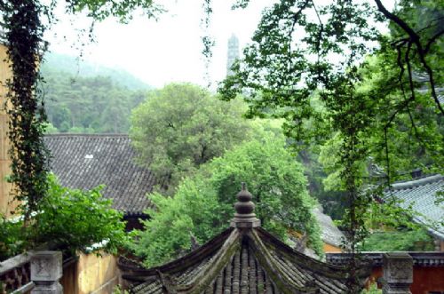 佛國仙山、濟公故里:台州天台圖片