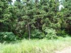 三門江國家森林公園