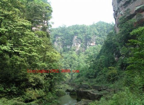 四面山圖片