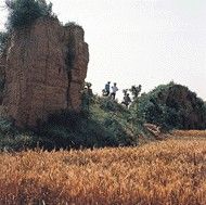 三江平原漢魏時期遺址圖片