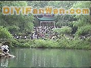 袁枚藤圖片