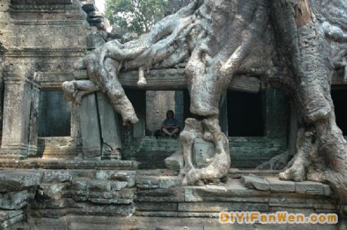 高棉神秘的塔布隆寺圖片