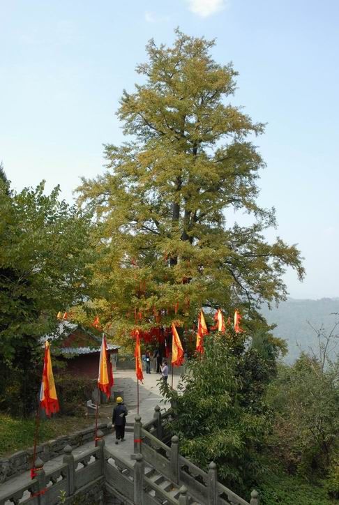 武當山圖片