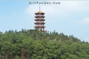 仙湖植物園圖片