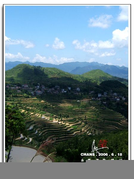 永嘉名岙梯田圖片