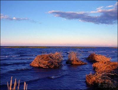 新疆烏倫湖圖片