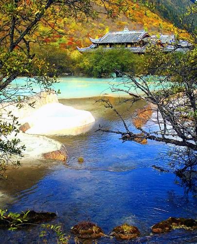 黃龍圖片