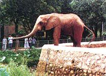 廣州動物園圖片
