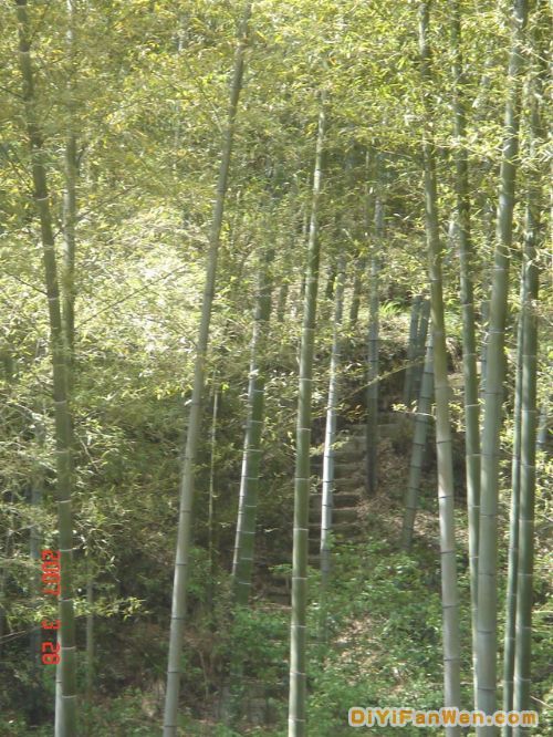 天目湖圖片