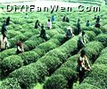 茅山圖片