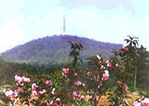 蜀山春曉圖片