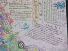 科技手抄報：摔不死的螞蟻