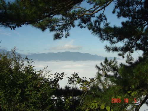 萬花山圖片