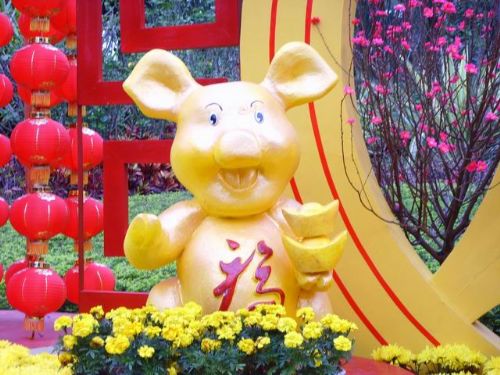 深圳人民公園花展圖片