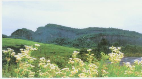 飛天山圖片