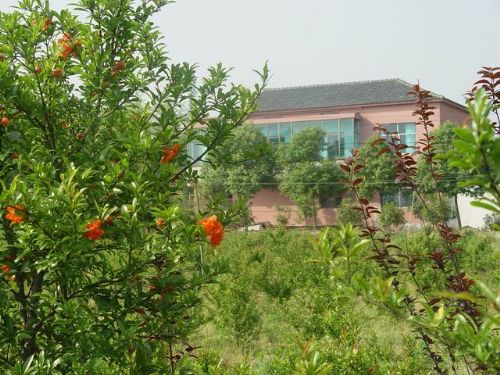 農家樂圖片