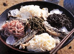 寶寶也愛面：四味涼麵