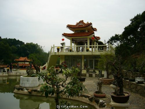 仙湖植物園圖片