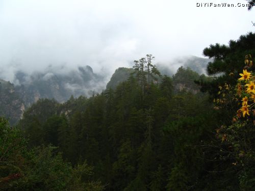 甘肅貴清山風光圖片