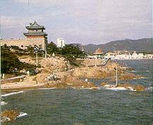 青島海產博物館圖片