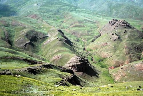 新疆玉其塔什草原圖片