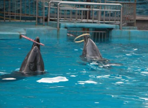 湖南長沙動物園圖片