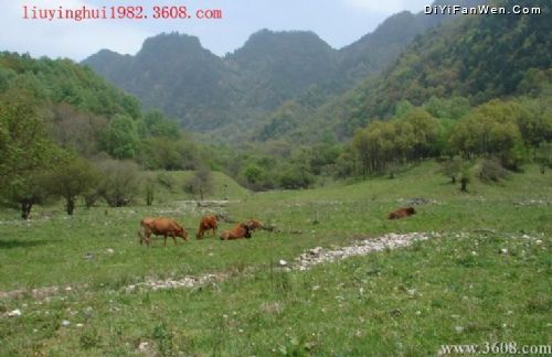 甘肅頭二三灘自然保護區圖片