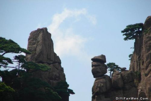始信峰上的探海松圖片