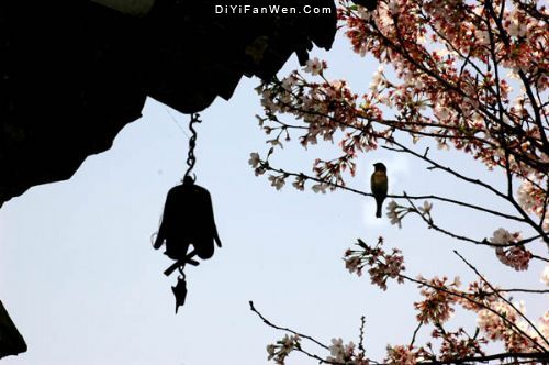 醫聖祠圖片