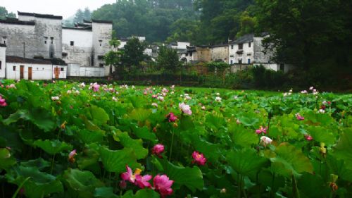 雨中徽州印象圖片