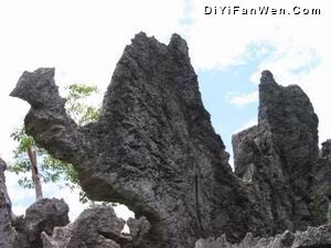 仙安石林圖片