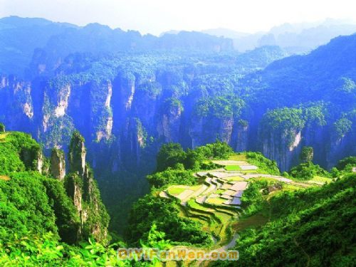 天子山風情圖片