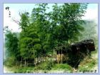 美麗的新化大熊山