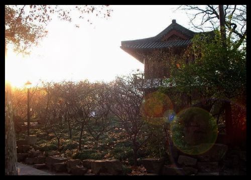 上海魯迅公園圖片