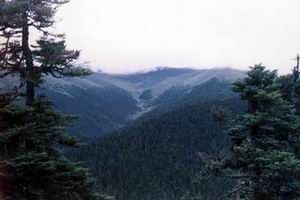 神山色季拉圖片