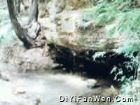 龍隱寺