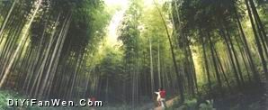 濮塘風景區圖片