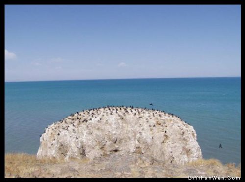 青海鳥島圖片