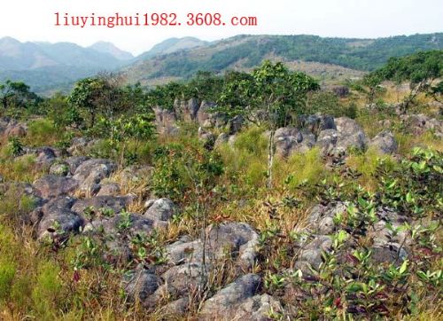 廣西王崗山圖片
