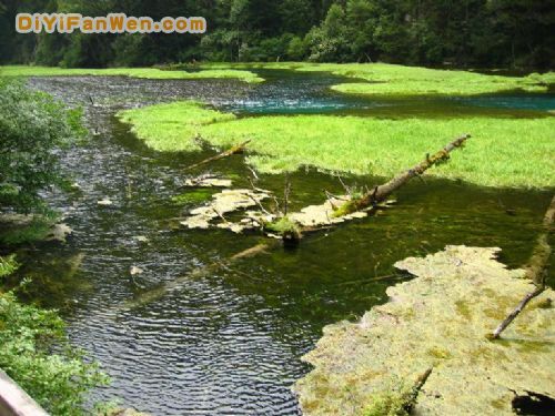 四川芳草海圖片