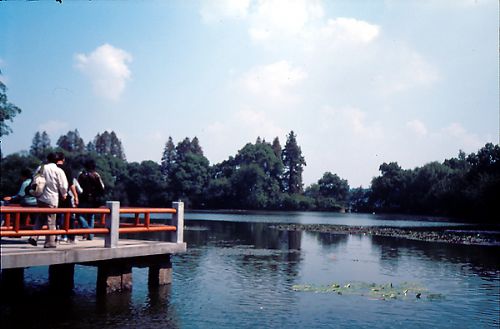 瀛洲擊水圖片