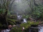 神農架天燕原始生態旅遊區