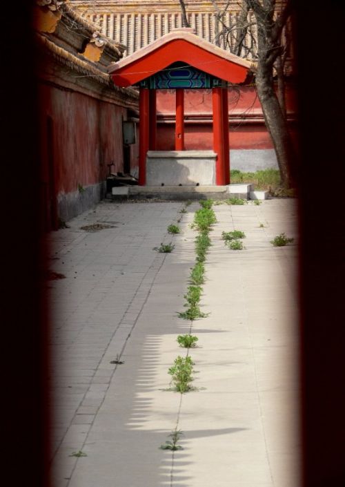 故宮圖片