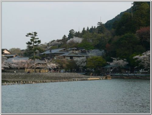 日本京都嵐山圖片