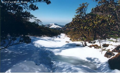 雲南祿勸轎子雪山圖片