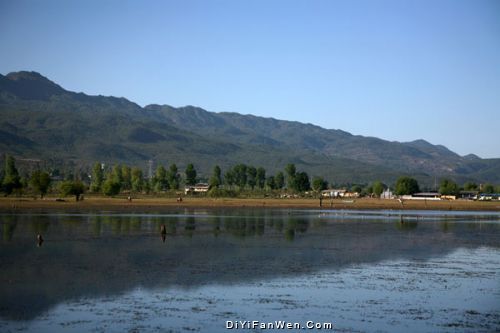 麗江拉市海高原濕地圖片