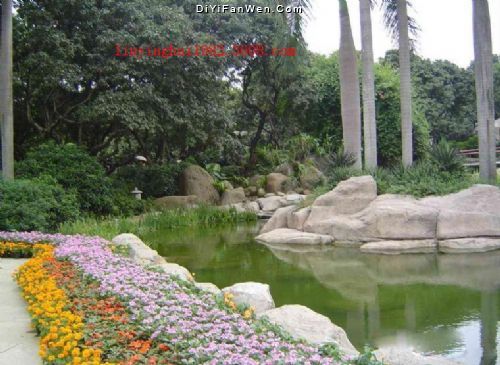 荔枝公園圖片