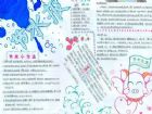節約用水手抄報：羅布泊“乾”了 天池還能“濕”多久?