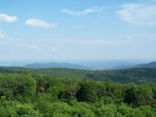 ShenandoahNationalPark,又名雪蘭多國家公園圖片