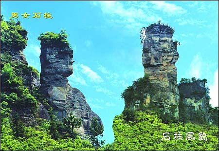 石柱黃水森林公園圖圖片